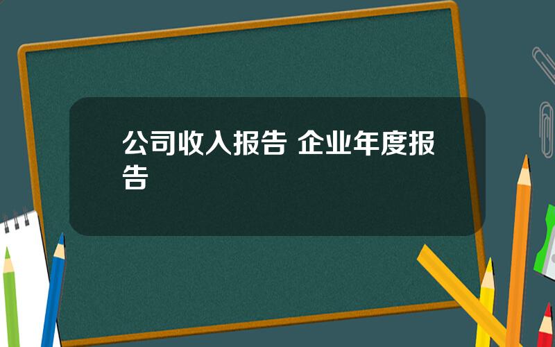 公司收入报告 企业年度报告